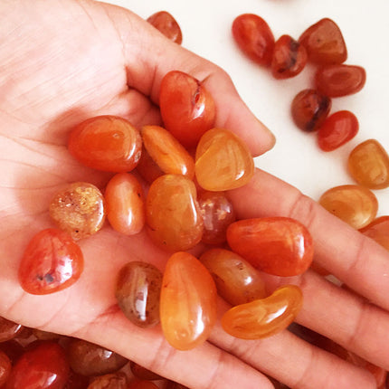Carnelian Rough Stone Crystal – Natural Mineral Specimen & Decoration | Fast & Free USA Shipping