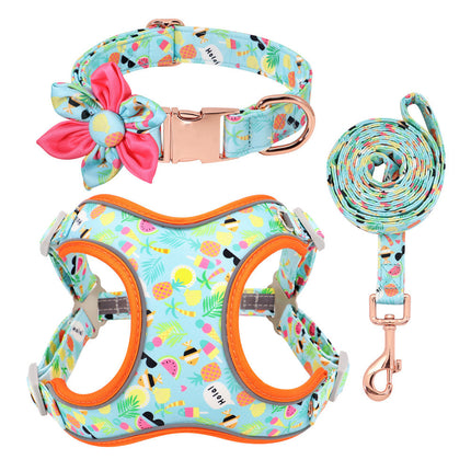 Small Dog Teddy & Corgi Collar with Leash & Strap – Durable & Adjustable | Petpexi