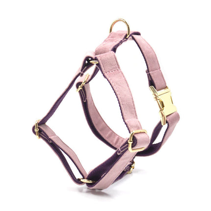 Green Velvet Dog Collar & Leash Set – Elegant Christmas Design with Gold Buckle | Petpexi