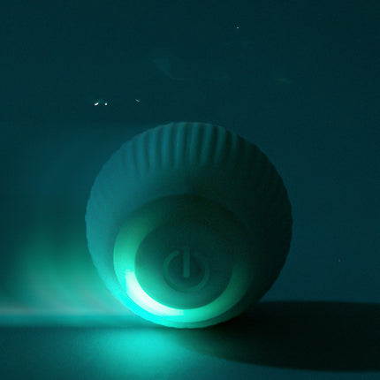 USB Rechargeable Gravity Electric Rolling Ball – Interactive Cat Toy | Petpexi