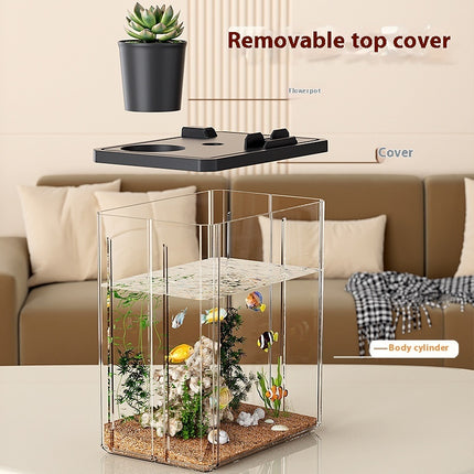 Desktop Small Thickened Plastic Fish Tank – Household Aquarium | PetPexi