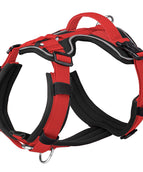 Black Red
