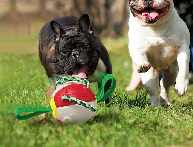 Interactive Dog Football Soccer Ball - Transforming Fetch & Tug Toy