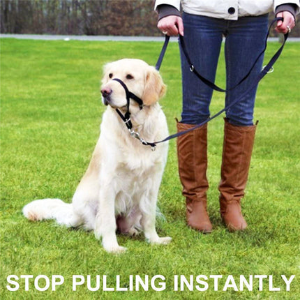 Adjustable Nylon Dog Muzzle Anti-Bite Mask – Durable & Comfortable | Fast FREE USA Shipping