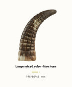 Rhinoceros horn