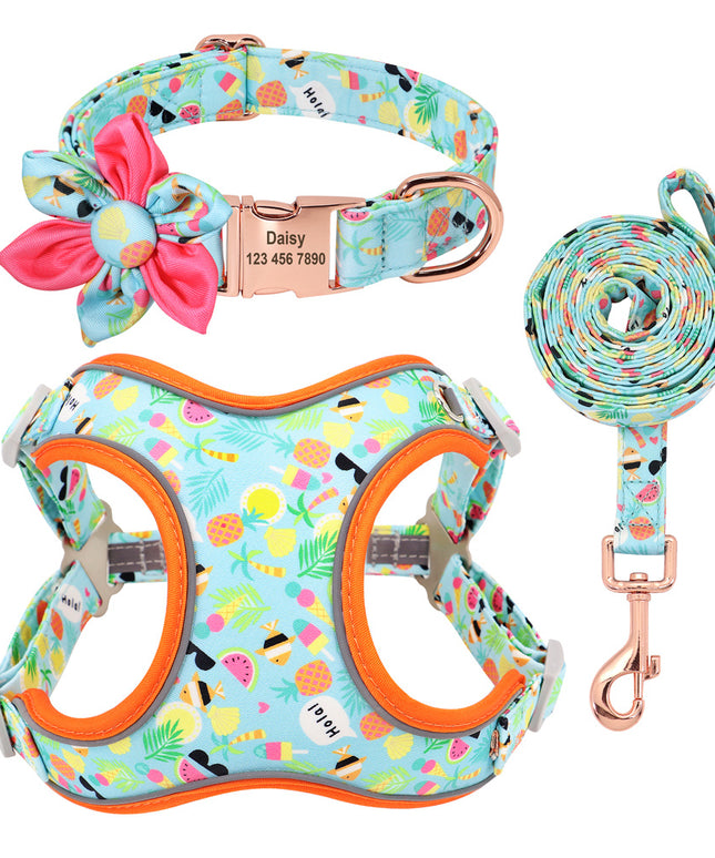 Small Dog Teddy & Corgi Collar with Leash & Strap – Durable & Adjustable | Petpexi