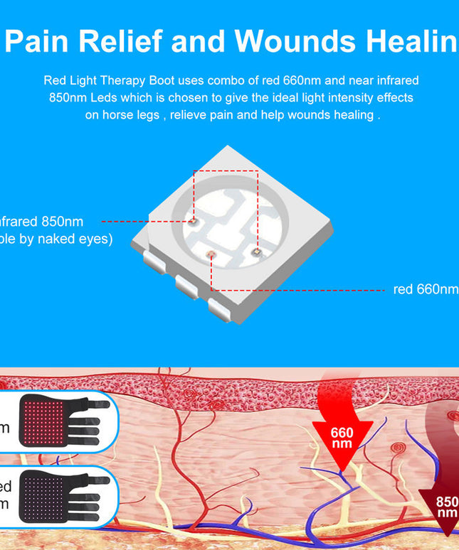 Portable Phototherapy for Horse Legs – Equine Recovery Device | www.petpexi.com