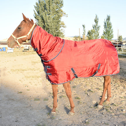 Winter Padded Cotton Horse Jacket with Bib - Premium Comfort & Warmth