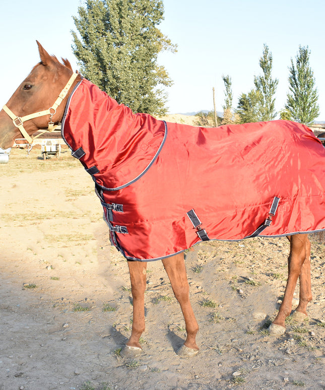 Winter Padded Cotton Horse Jacket with Bib - Premium Comfort & Warmth