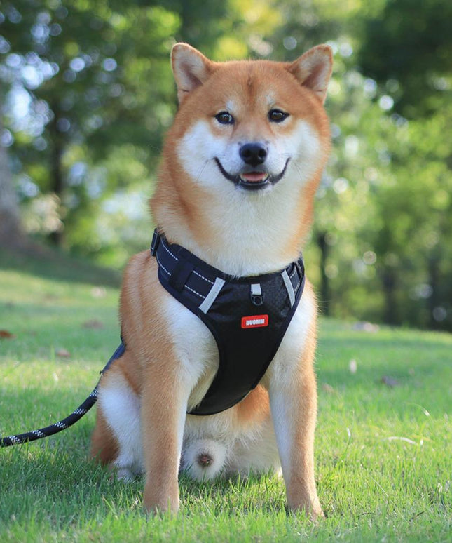 Nylon No Pull Breathable Reflective Dog Harness Vest – Adjustable Outdoor Training & Running | Petpexi