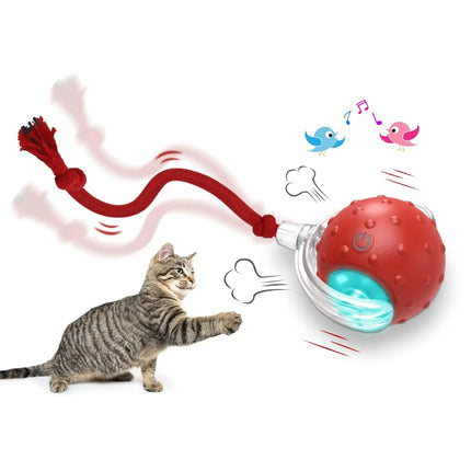 Interactive Cat Toy Ball – Super Drive Rolling Ball with Chirping & 3 Modes | Petpexi