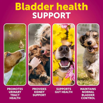 Dog UTI Treatment Cranberry Supplement – Bladder Control & Kidney Support – 70 Soft Chews for Dogs