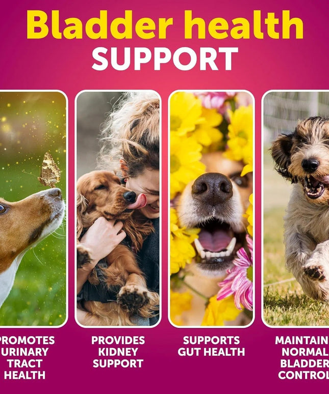 Dog UTI Treatment Cranberry Supplement – Bladder Control & Kidney Support – 70 Soft Chews for Dogs