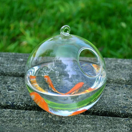 Mini Hanging Glass Vase Fish Tank with Borosilicate Glass | PetPexi