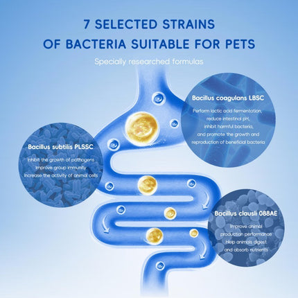 Bark and Meow Probiotics for Dogs & Cats - Gut & Immune Support, 7 Strains, Prebiotics, Pumpkin & Carrot, Made in USA