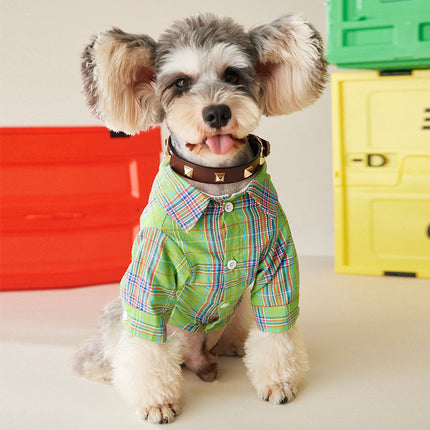 Fruit green cotton pet shirt for small and medium dogs and cats – breathable casual wear by Petpexi with fast free U.S. shipping

