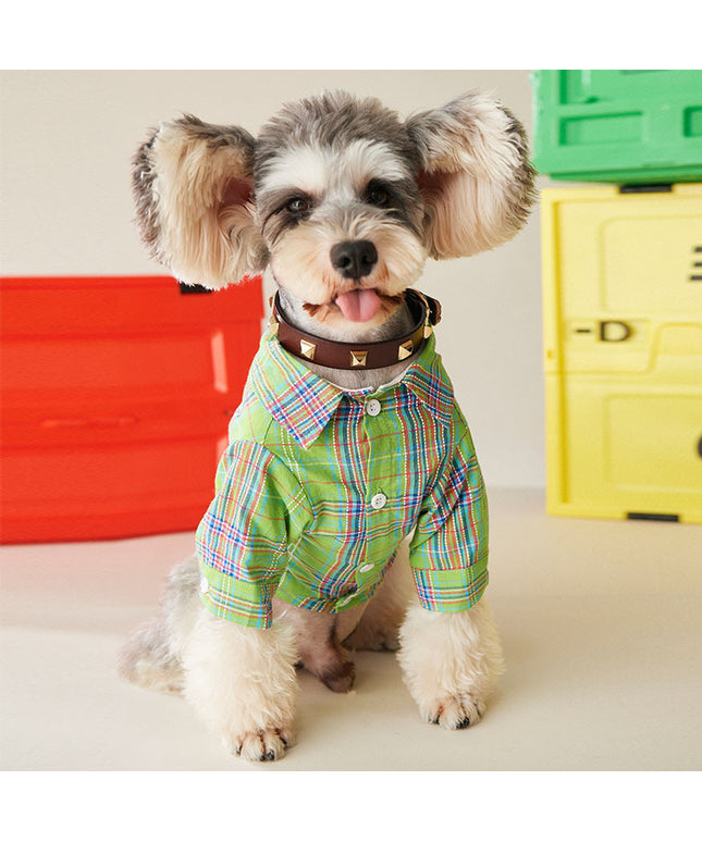 Fruit green cotton pet shirt for small and medium dogs and cats – breathable casual wear by Petpexi with fast free U.S. shipping

