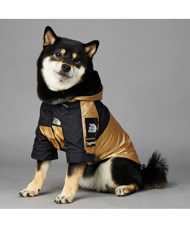 Golden waterproof dog raincoat jacket for large and small dogs – stylish, lightweight, and rain-resistant pet coat | Petpexi

