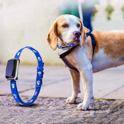 Blue and black GPS pet positioning collar with LED screen and adjustable fit for real-time dog tracking from PetPexi

