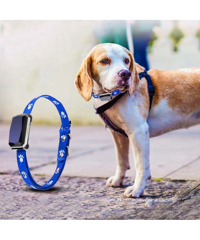 Blue and black GPS pet positioning collar with LED screen and adjustable fit for real-time dog tracking from PetPexi

