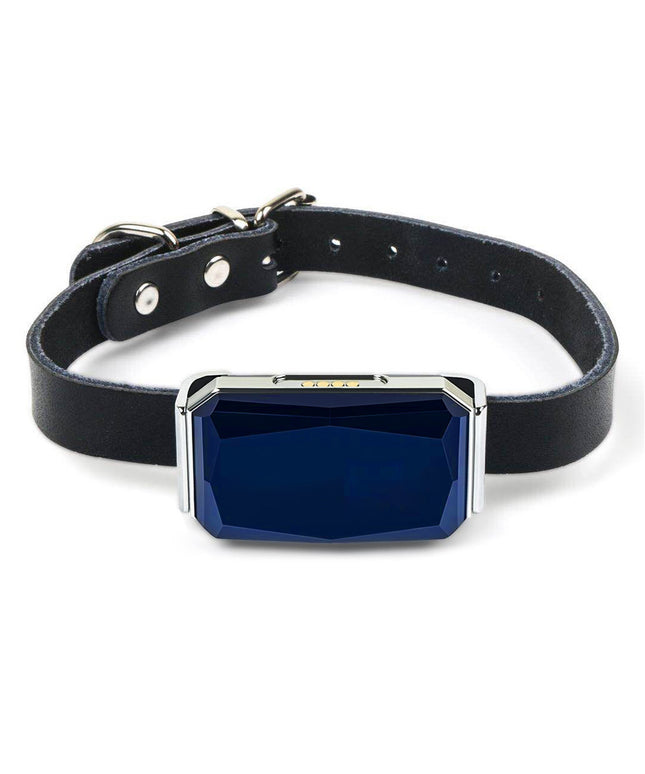 High-quality multi-mode GPS tracker with SOS and geofencing features available at www.petpexi.com

