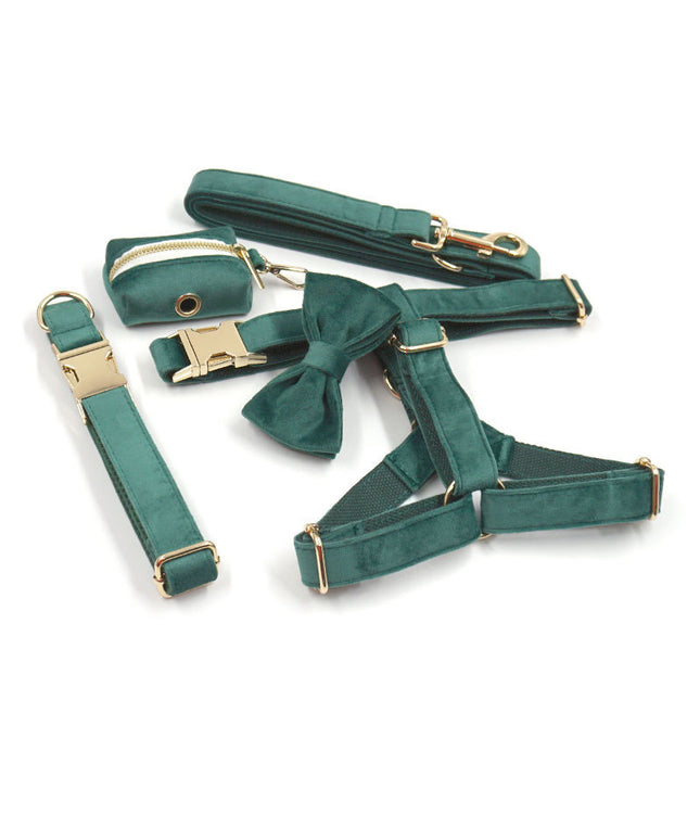Green velvet dog collar and leash set by Petpexi, featuring elegant gold buckles, festive Christmas green color, including chest harness and dog litter bag

