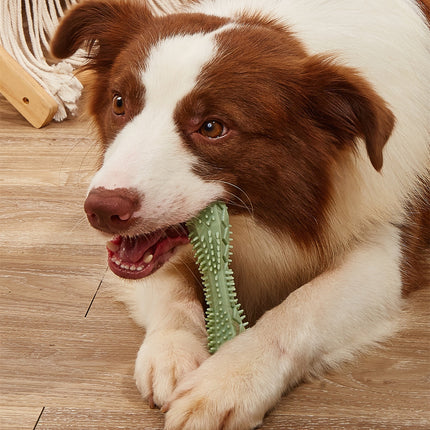 Hexagonal Chew Toy for Dog Teeth Cleaning from Petpexi.com, a durable, dental-friendly toy with free, fast USA shipping for happy, healthy dogs.