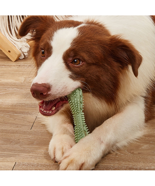 Hexagonal Chew Toy for Dog Teeth Cleaning from Petpexi.com, a durable, dental-friendly toy with free, fast USA shipping for happy, healthy dogs.