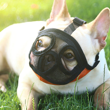 Hoopet Adjustable Breathable Dog Muzzle in Black for Small Flat-Faced Dogs by Petpexi

