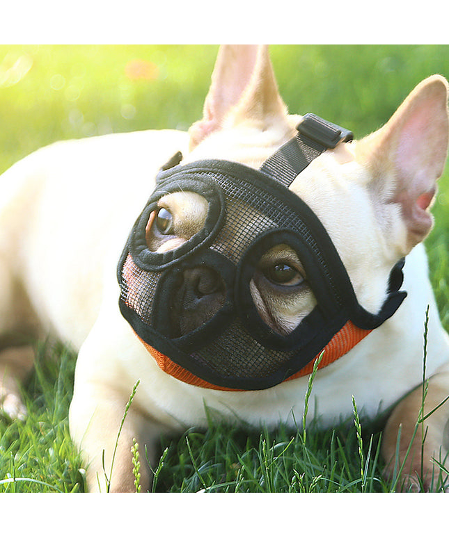 Hoopet Adjustable Breathable Dog Muzzle in Black for Small Flat-Faced Dogs by Petpexi

