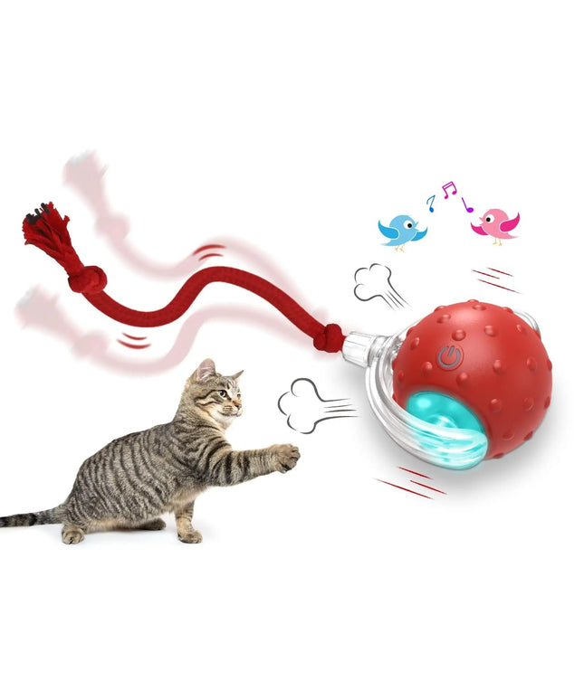 Interactive Cat Toy Ball – Super Drive Rolling Ball with 3 modes and chirping sound from Petpexi, premium quality with fast free USA shipping

