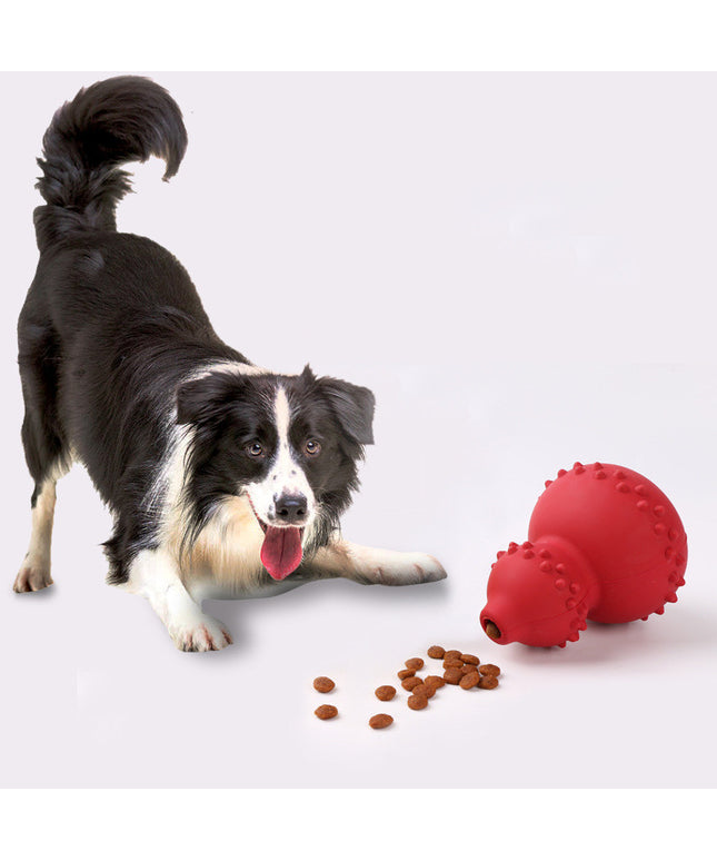Leaky Gourd Toy, a durable natural rubber dog ball for interactive treat-dispensing play, available at www.petpexi.com with fast, free USA shipping.