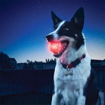 LED glowing durable dog ball for fetch, chew, interactive play, floats on water – www.petpexi.com