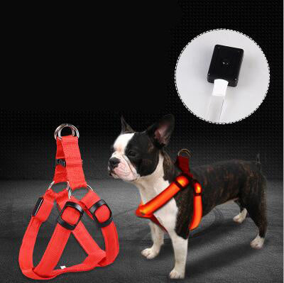 LED Luminous Dog Chest Strap – USB Rechargeable Reflective Harness for Large Dogs | Petpexi