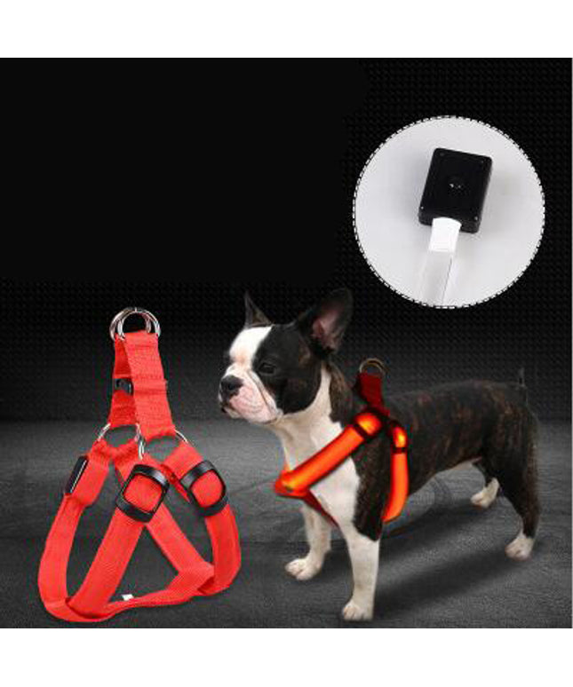 LED Luminous Dog Chest Strap – USB Rechargeable Reflective Harness for Large Dogs | Petpexi