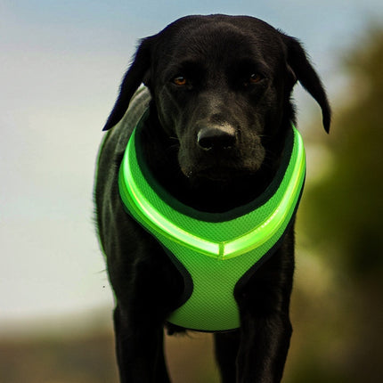LED Luminous Dog Harness – USB Rechargeable Reflective Breathable Safety Chest Strap Vest for Dogs | Petpexi