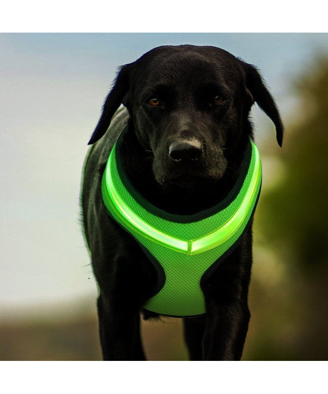 LED Luminous Dog Harness – USB Rechargeable Reflective Breathable Safety Chest Strap Vest for Dogs | Petpexi