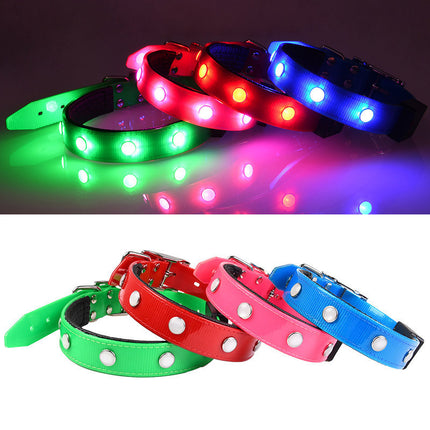 Luminous waterproof adjustable cat and dog collar by Petpexi in red, green, blue, and pink colors made from durable TPU, suitable for all seasons and everyday use

