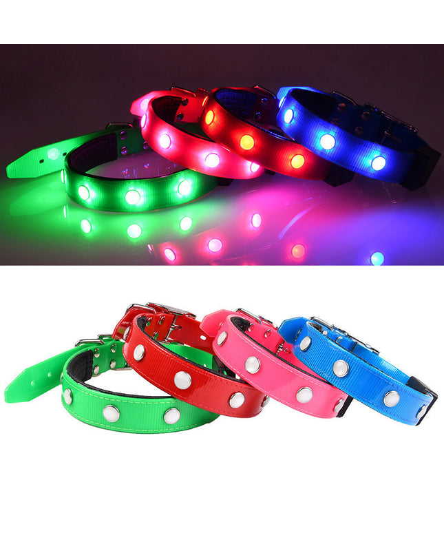 Luminous waterproof adjustable cat and dog collar by Petpexi in red, green, blue, and pink colors made from durable TPU, suitable for all seasons and everyday use

