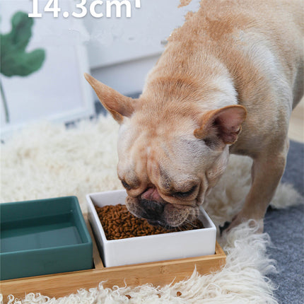 Luxury square ceramic pet food bowl for dogs and cats – elegant, durable, non-slip – available at www.petpexi.com with fast free USA shipping

