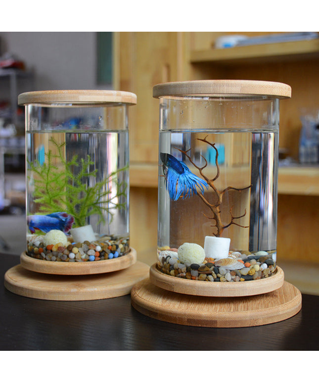Mini Glass Aquarium with natural bamboo base for small fish tank decoration – clear glass and eco-friendly bamboo frame by PetPexi

