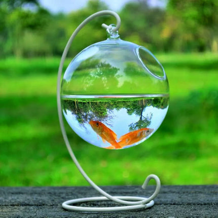 Mini Hanging Glass Vase Fish Tank with colorful glass ball and black or white bracket by PetPexi, fast free shipping USA

