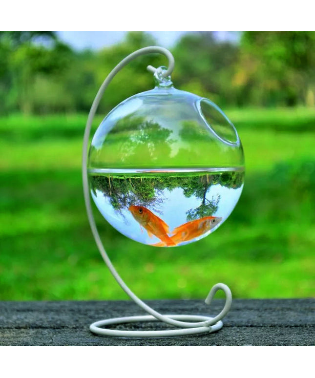 Mini Hanging Glass Vase Fish Tank with colorful glass ball and black or white bracket by PetPexi, fast free shipping USA

