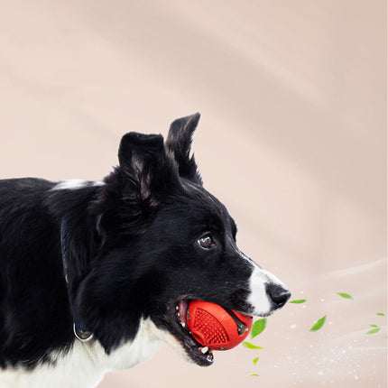  Durable Missing Food Alone Card Food Elastic Solid Ball chew toy for dogs from www.petpexi.com