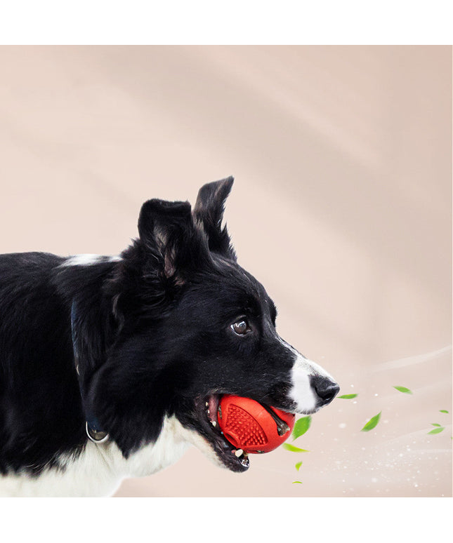  Durable Missing Food Alone Card Food Elastic Solid Ball chew toy for dogs from www.petpexi.com