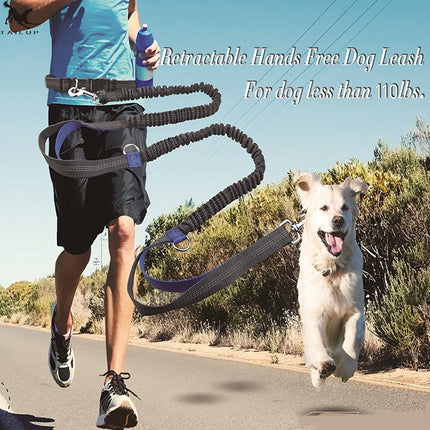 Multi-Function Reflective Elastic Dog Leash with Waist Belt in Royal Blue by Petpexi, Hands-Free and Adjustable

