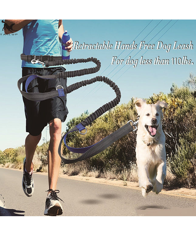 Multi-Function Reflective Elastic Dog Leash with Waist Belt in Royal Blue by Petpexi, Hands-Free and Adjustable

