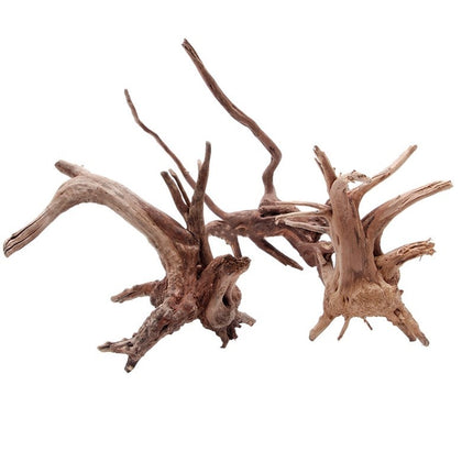 Natural sunken tree root aquarium decoration from www.petpexi.com – authentic wood, safe, unique design, and Fast & Free USA Shipping.

