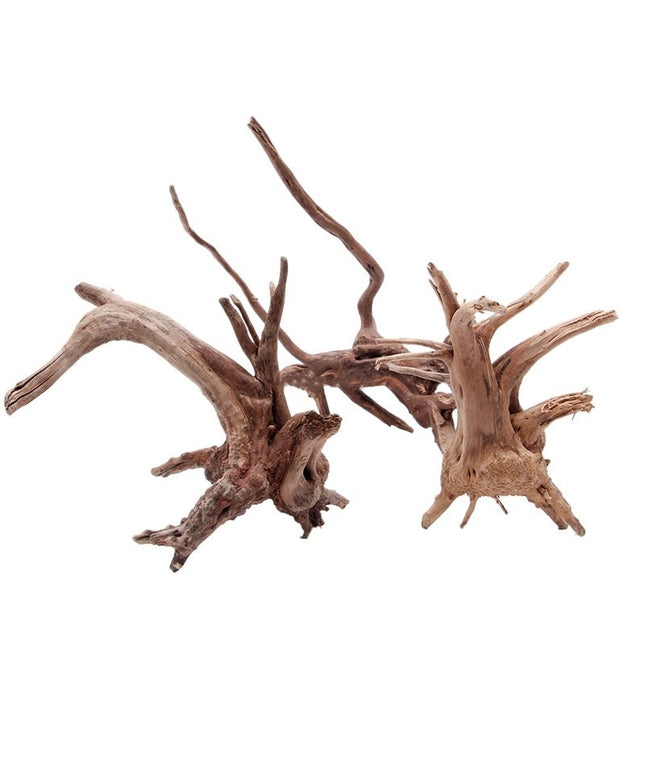 Natural sunken tree root aquarium decoration from www.petpexi.com – authentic wood, safe, unique design, and Fast & Free USA Shipping.