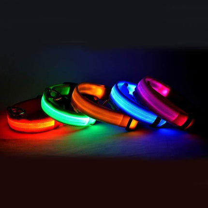 Nylon LED luminous dog collar by Petpexi, flashing glow safety collar, seven colors, adjustable fit for dogs and cats, USB rechargeable or battery-powered, XS to XL sizes

